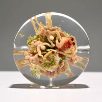 Paul J. Stankard Experimental Root People Paperweight - Sold for $2,176 on 05-20-2023 (Lot 608).jpg